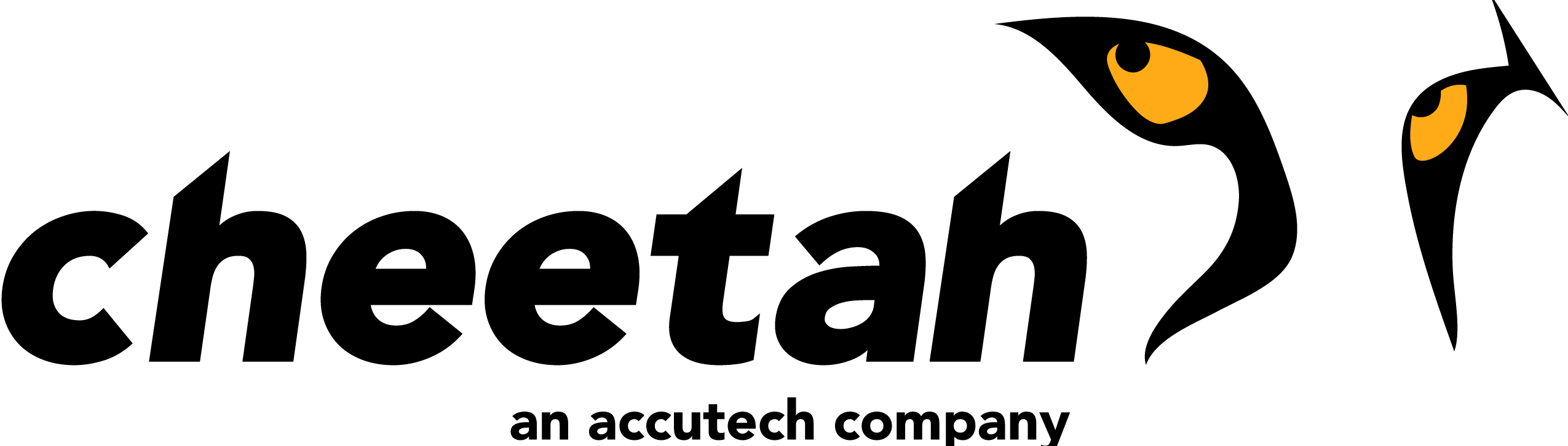 cheetah wealth mgmt